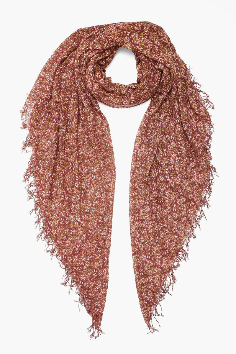 Fringed Cashmere Silk Scarf In Fig